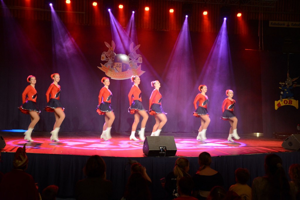 ../Images/Dansmarieke festival 2015 239.jpg
